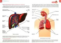 Первая энциклопедия маленьких почемучек Книга повреждена!!