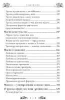 Круг Рун. Повседневные практики. Как жить и работать с Рунами день за днем